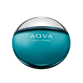 Bvlgari Aqva Pour Homme Edt 100ml Tester
