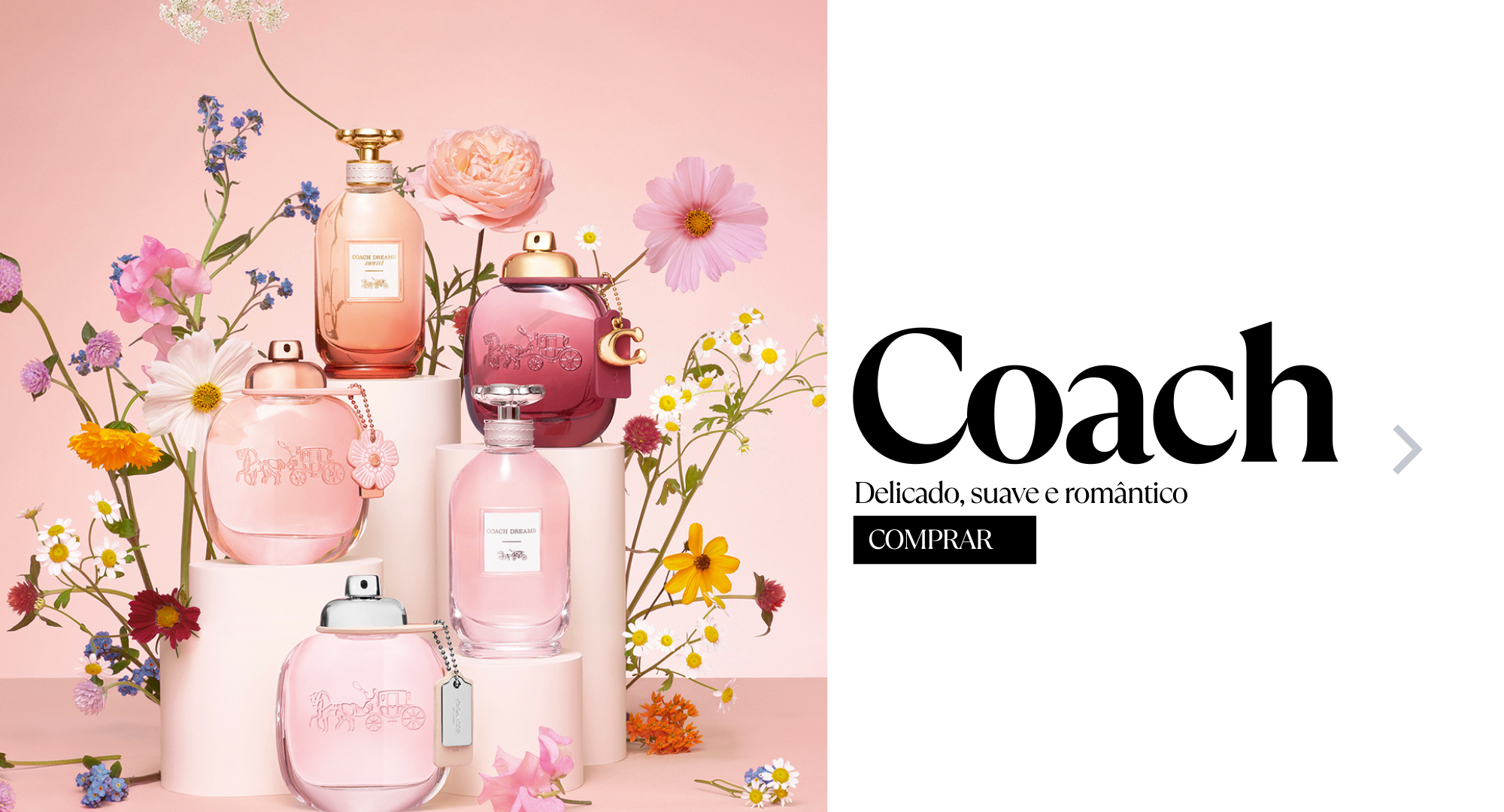 Banner principal 1ban 3