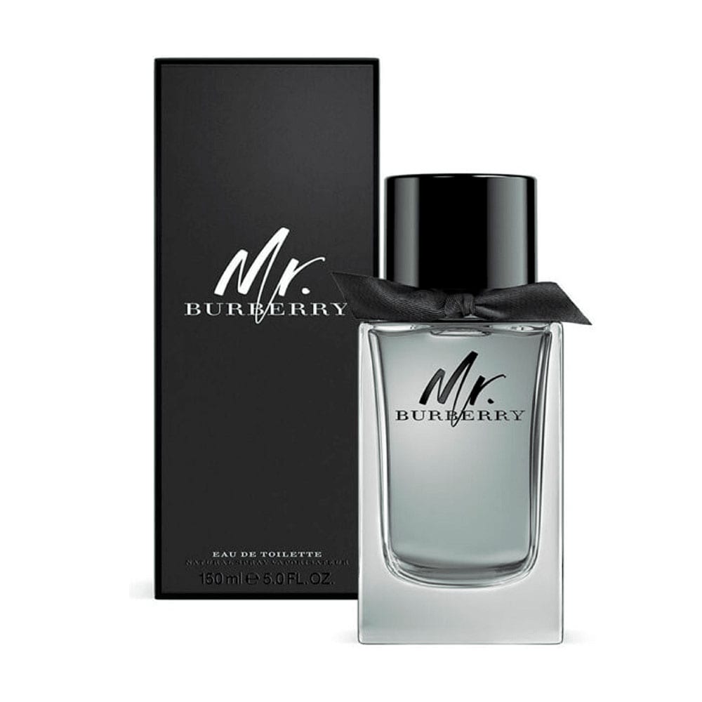 Burberry Mr burberry edt 100ml