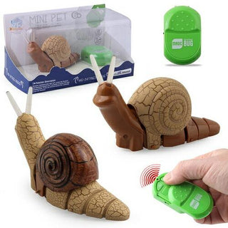 Lesma Snail Radio Controlled Insect